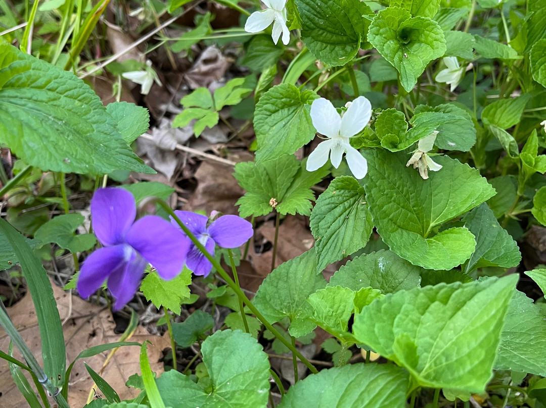 A.W. Marion State Park-Circleville必去景点