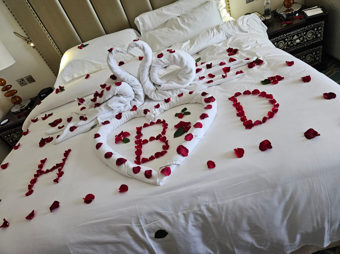 阿治曼萨雷豪华集团度假酒店主图