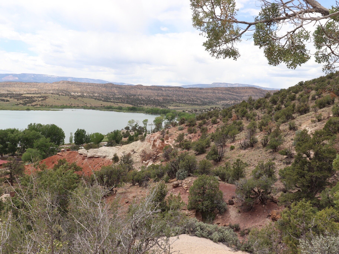 Escalante Petrified Forest State Park景点图片