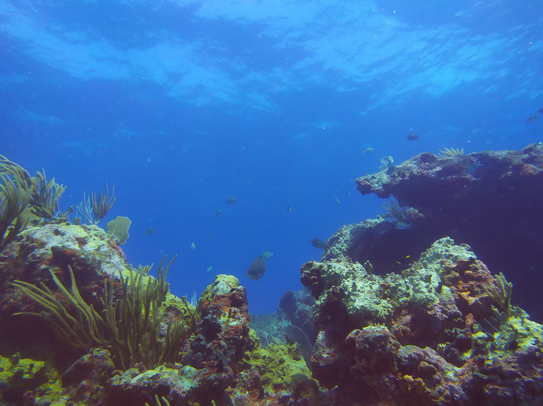 SXM Divers景点图片