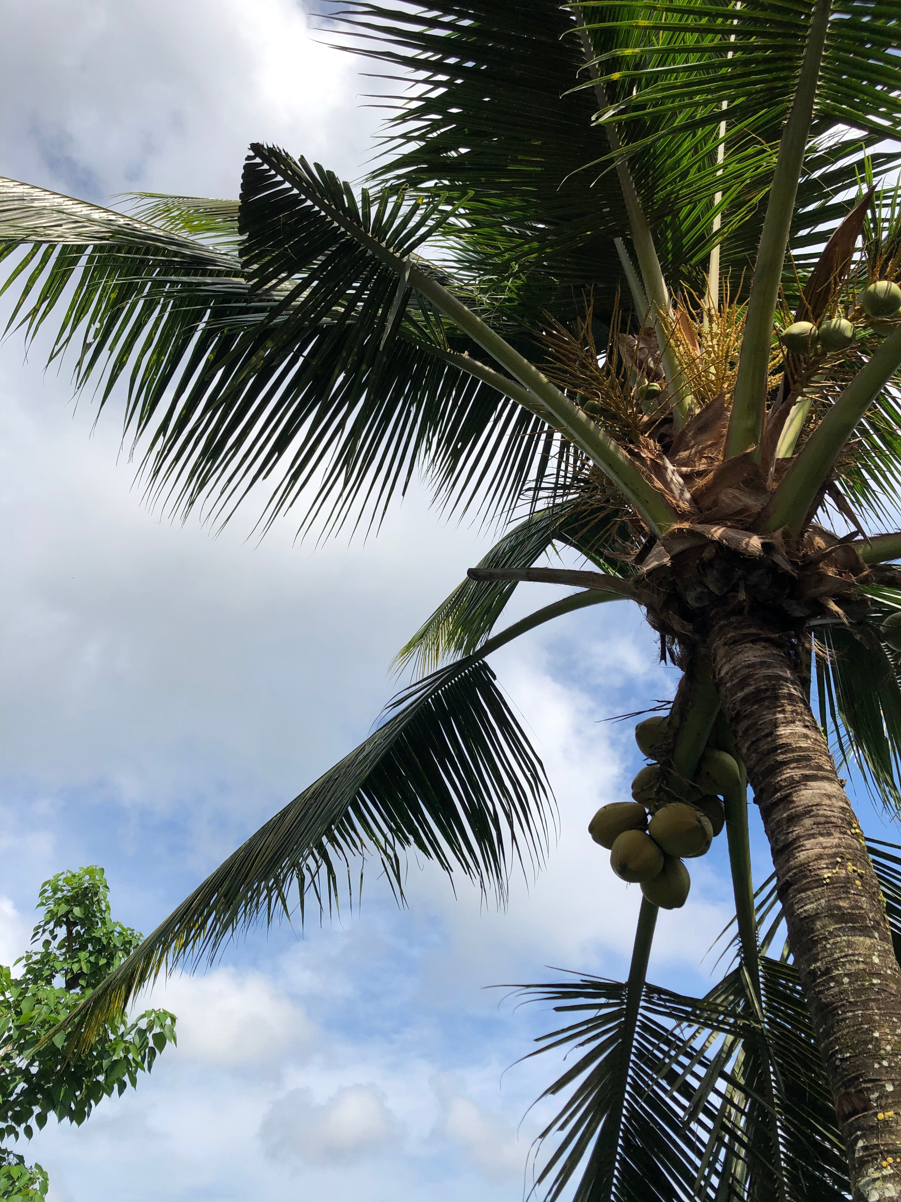 Bella Kita Mountain Retreat & Spa-浴室