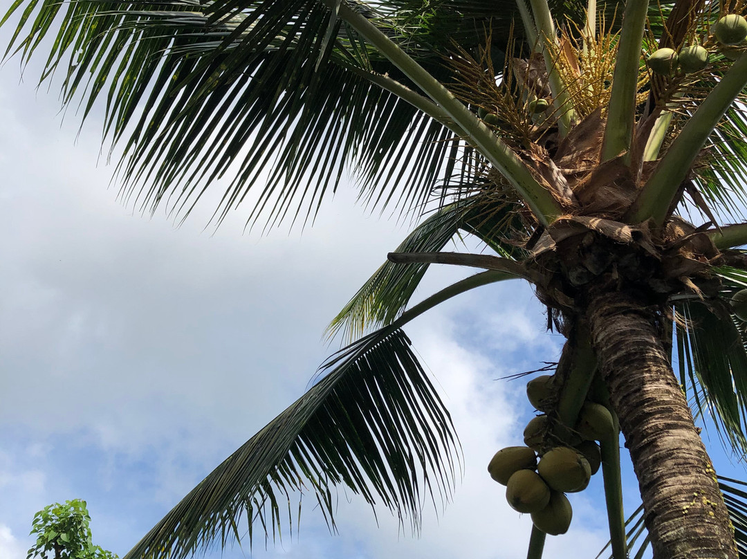 Bella Kita Mountain Retreat & Spa主图