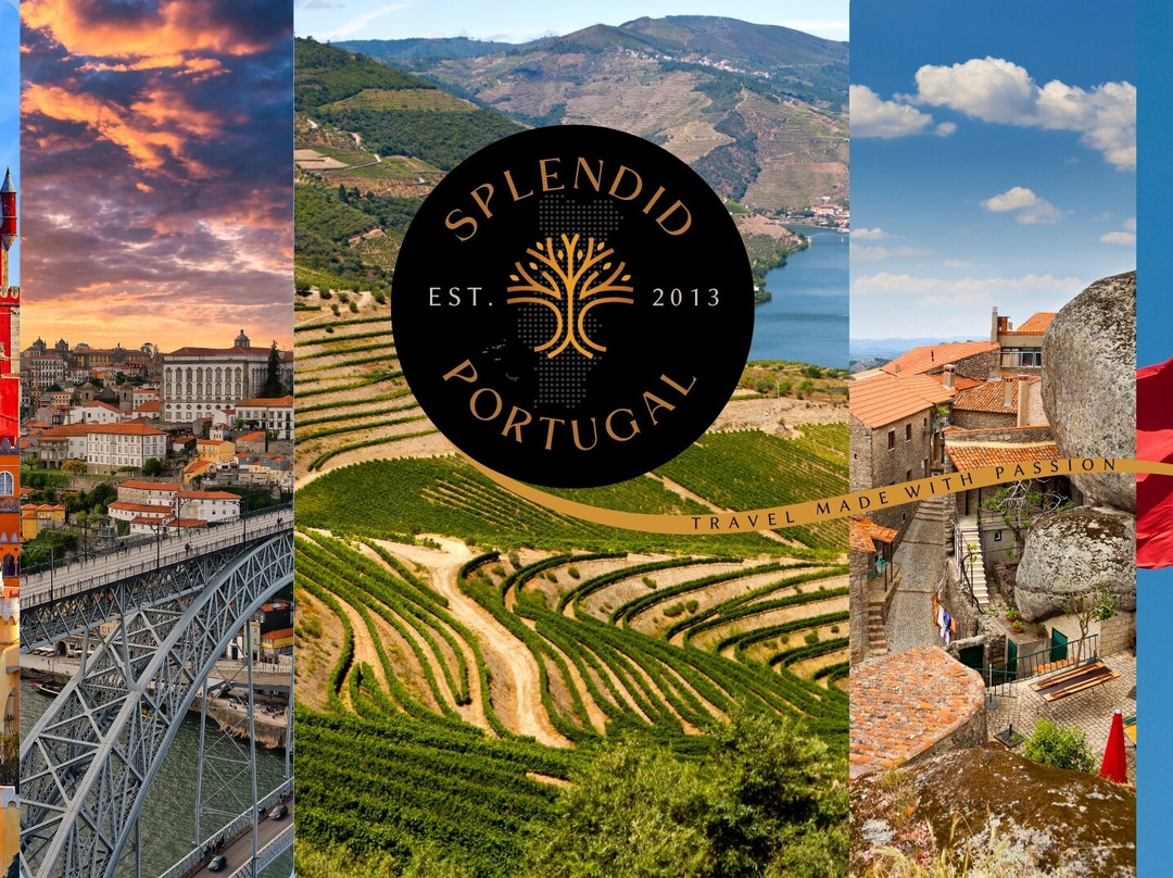 Splendid Portugal-波尔图必去景点