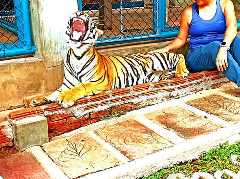 Thai travel no limit Chiang Mai-清迈必去景点