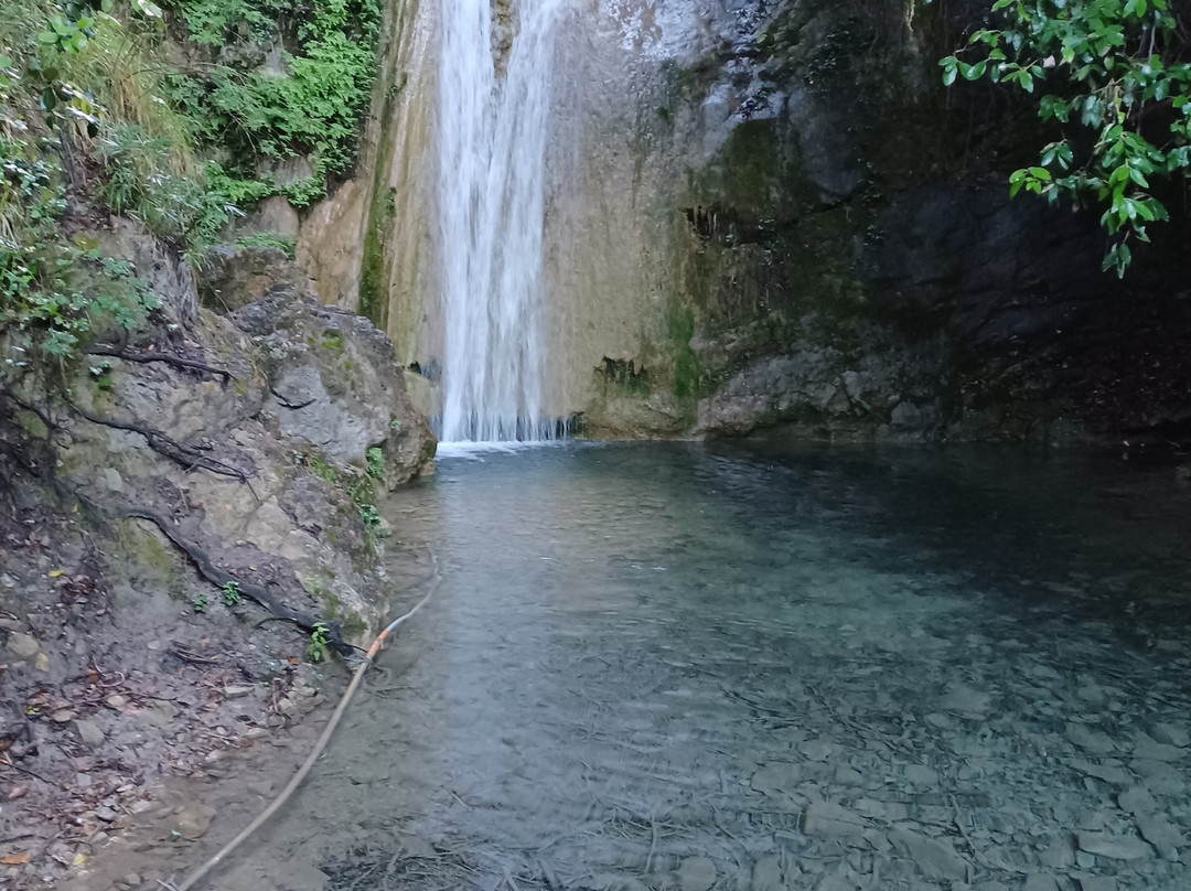 Agriturismo Vecchio Frantoio主图