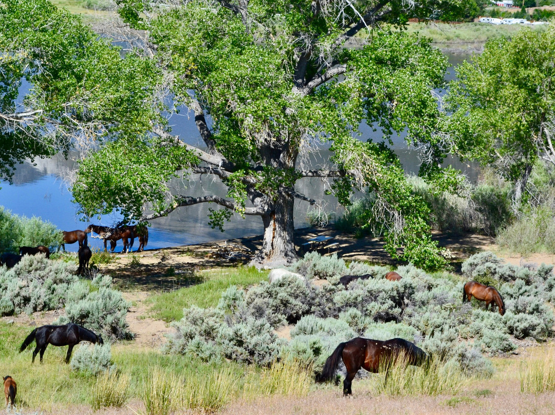 Washoe Lake State Park-卡森城必去景点