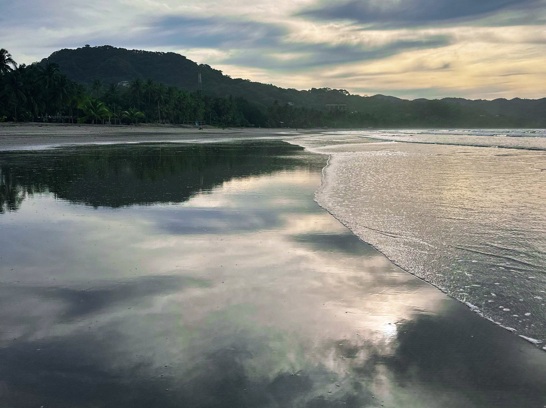 Fenix Hotel - On The Beach主图