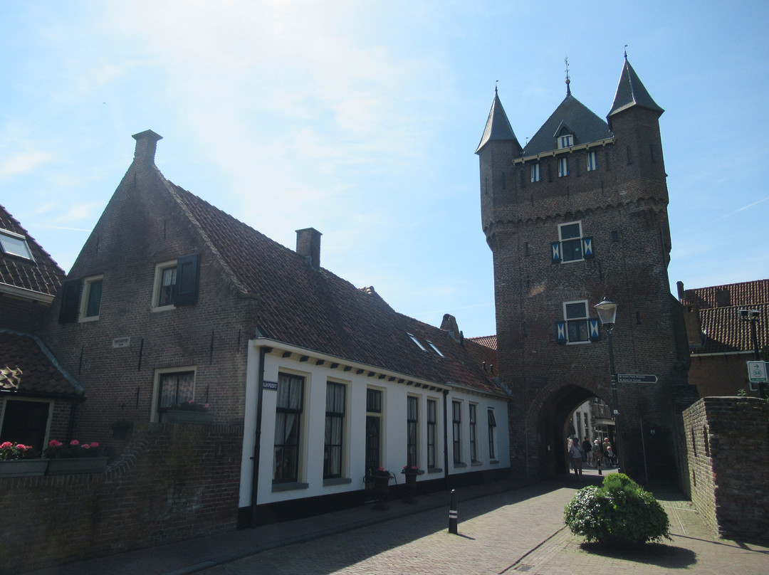 De Dijkpoort van Hattem景点图片