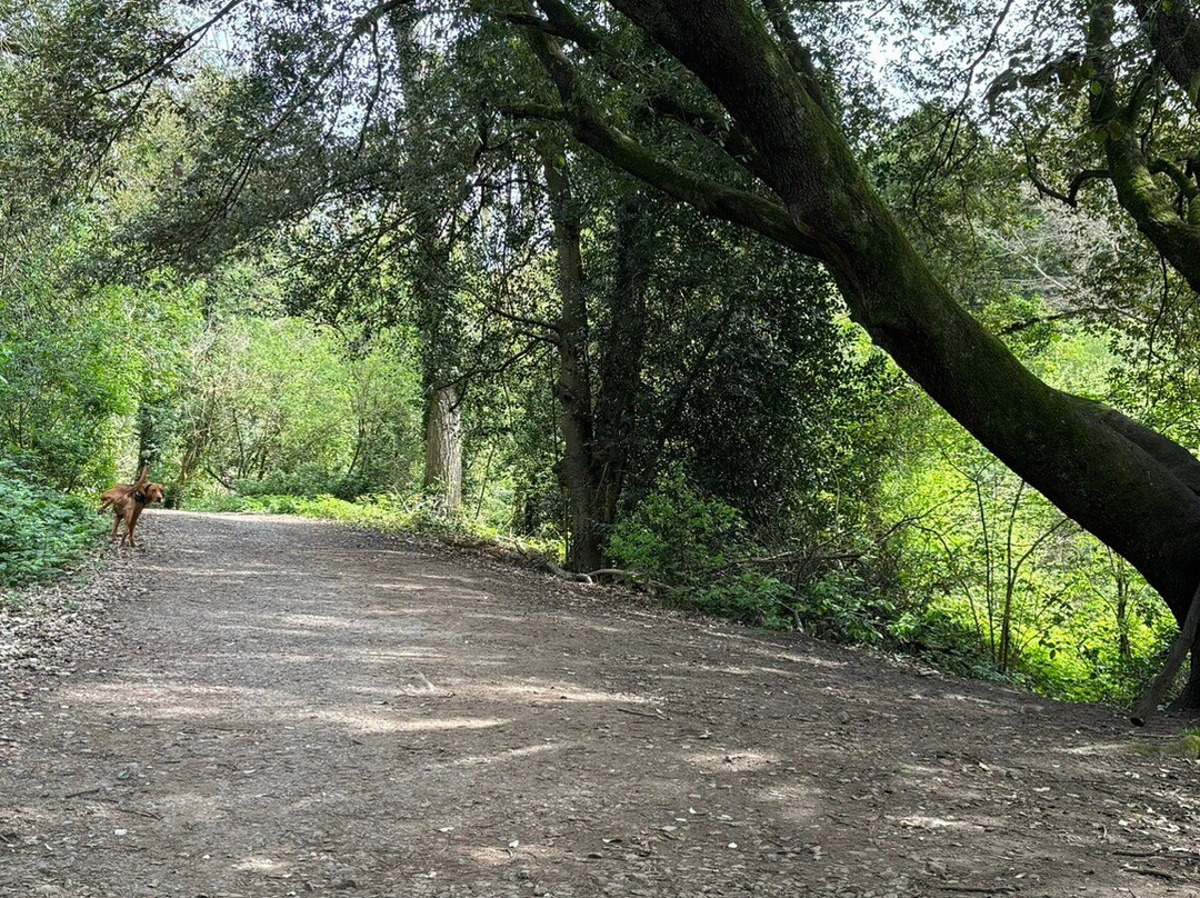 Vinters Valley Nature Reserve-梅德斯通必去景点