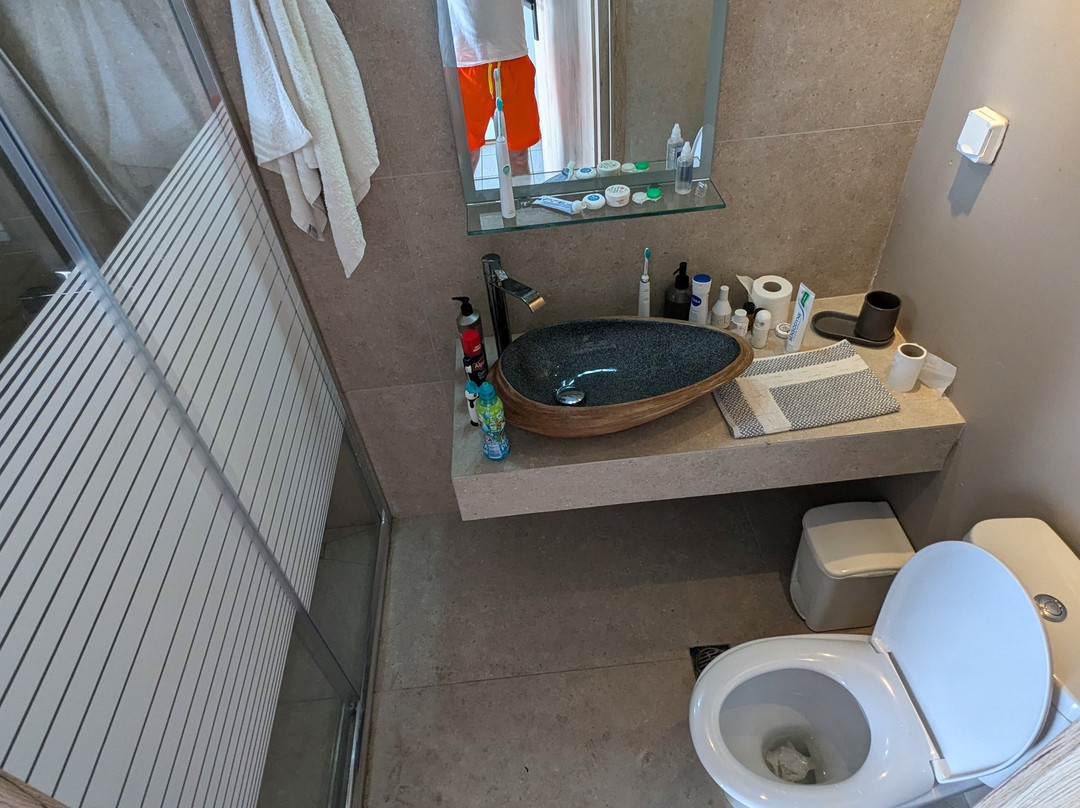 Amarylis Studios主图