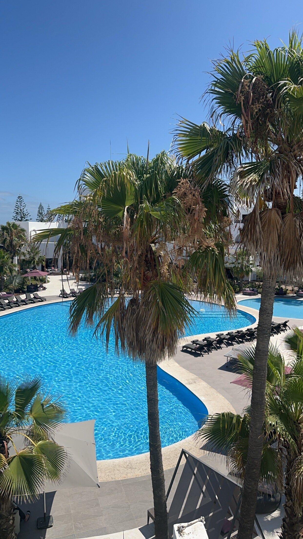 Pullman Mazagan Royal Golf & Spa-酒店景观