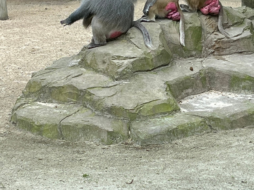 Tierpark Essehof-Lehre必去景点
