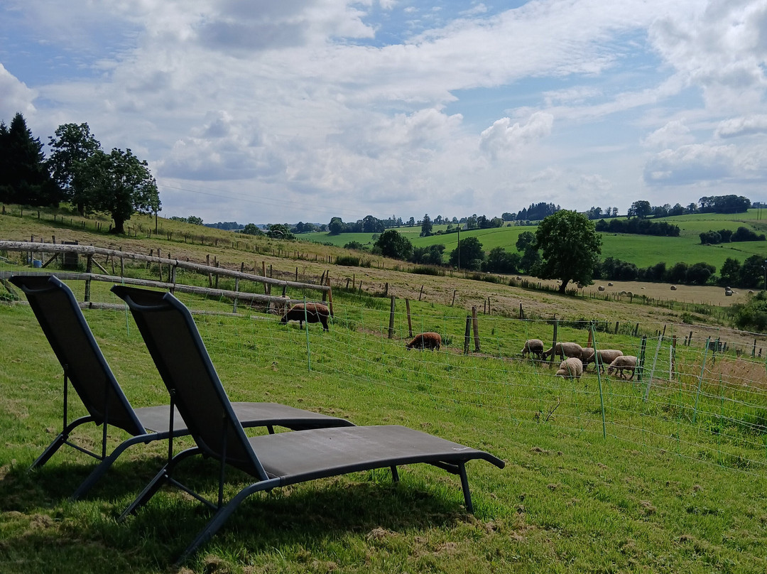 B&B La Trouverie主图