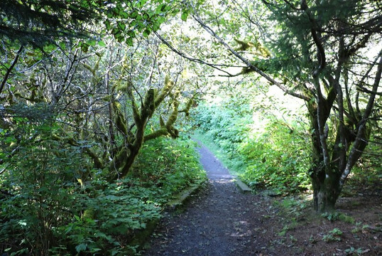 North End Park-Kodiak必去景点