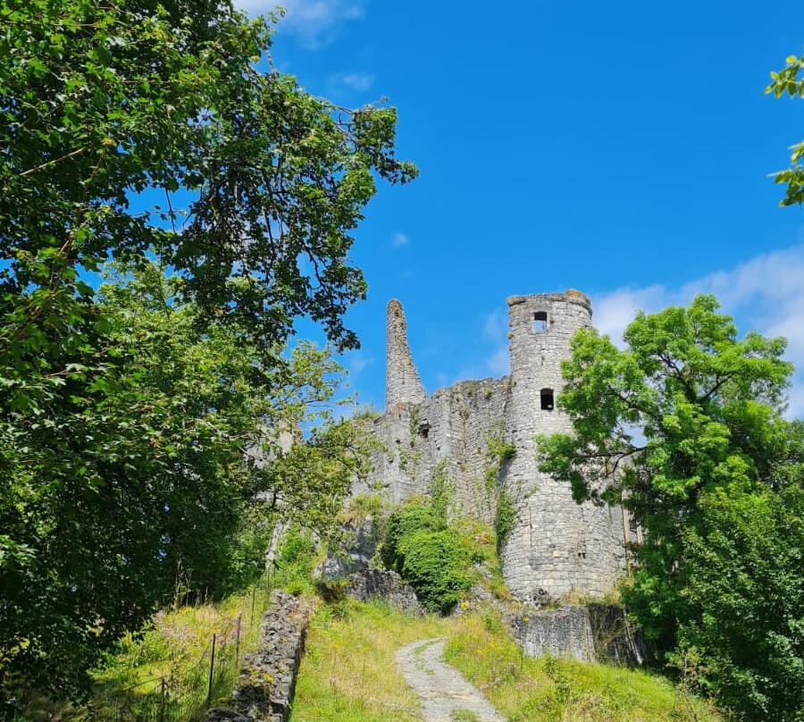 Les ruines du Chateau Fort de Montaigle景点图片