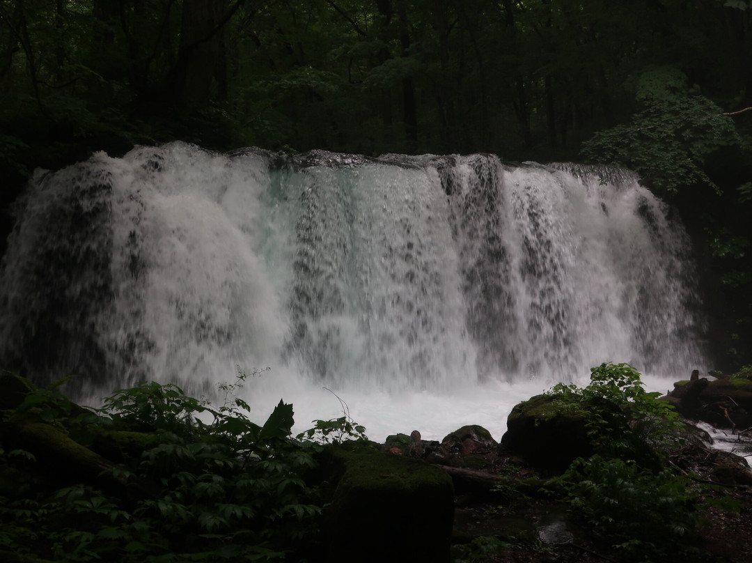 Choshi Otaki Waterfall景点图片