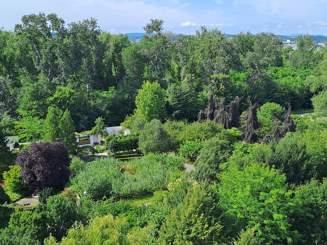 Die Garten Tulln景点图片