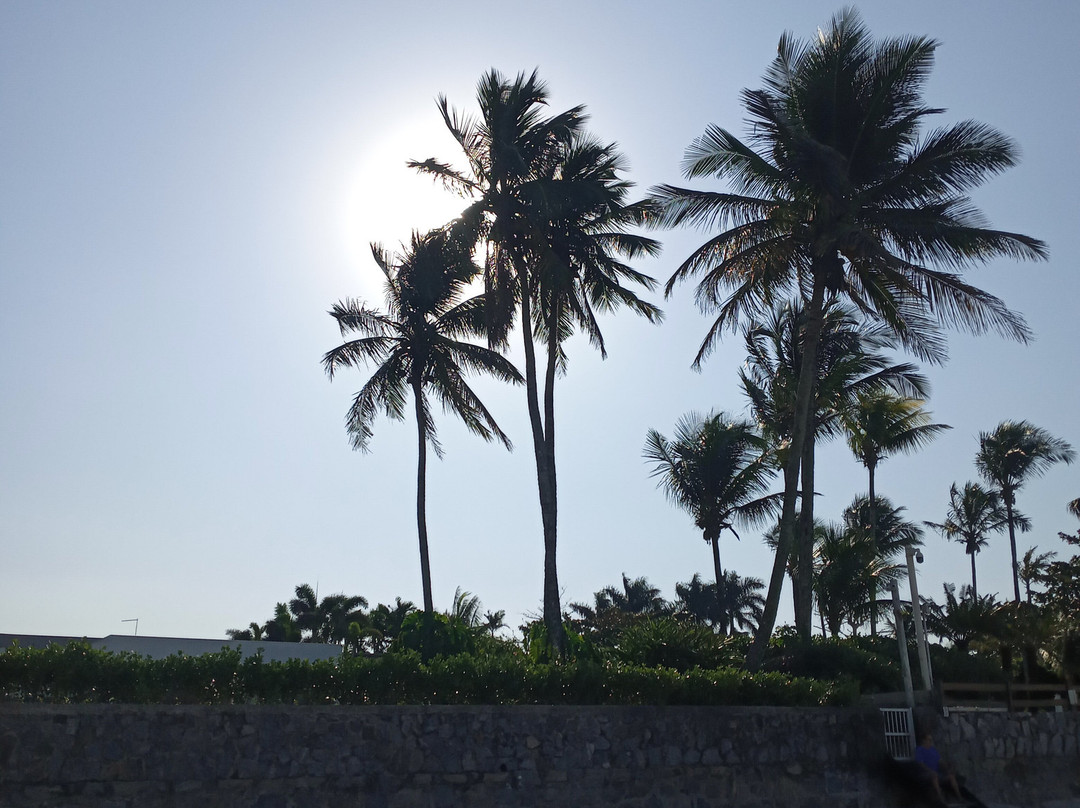 Praia Do Pernambuco景点图片