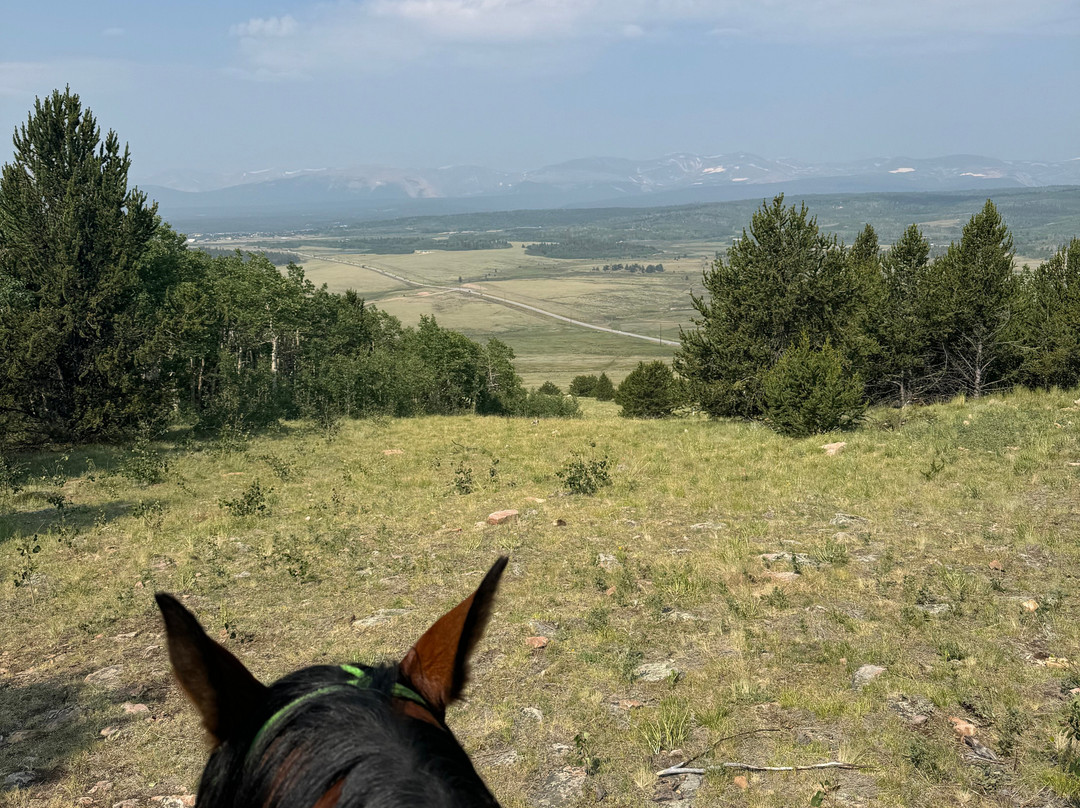 American Safari Ranch-Fairplay必去景点