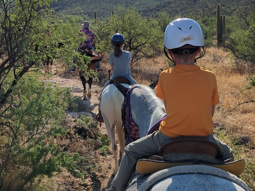 Tanque Verde Ranch-图森必去景点
