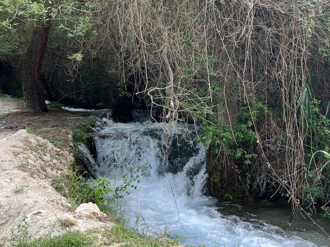 Bosque Encantado de Higueras-Pozo Alcon必去景点