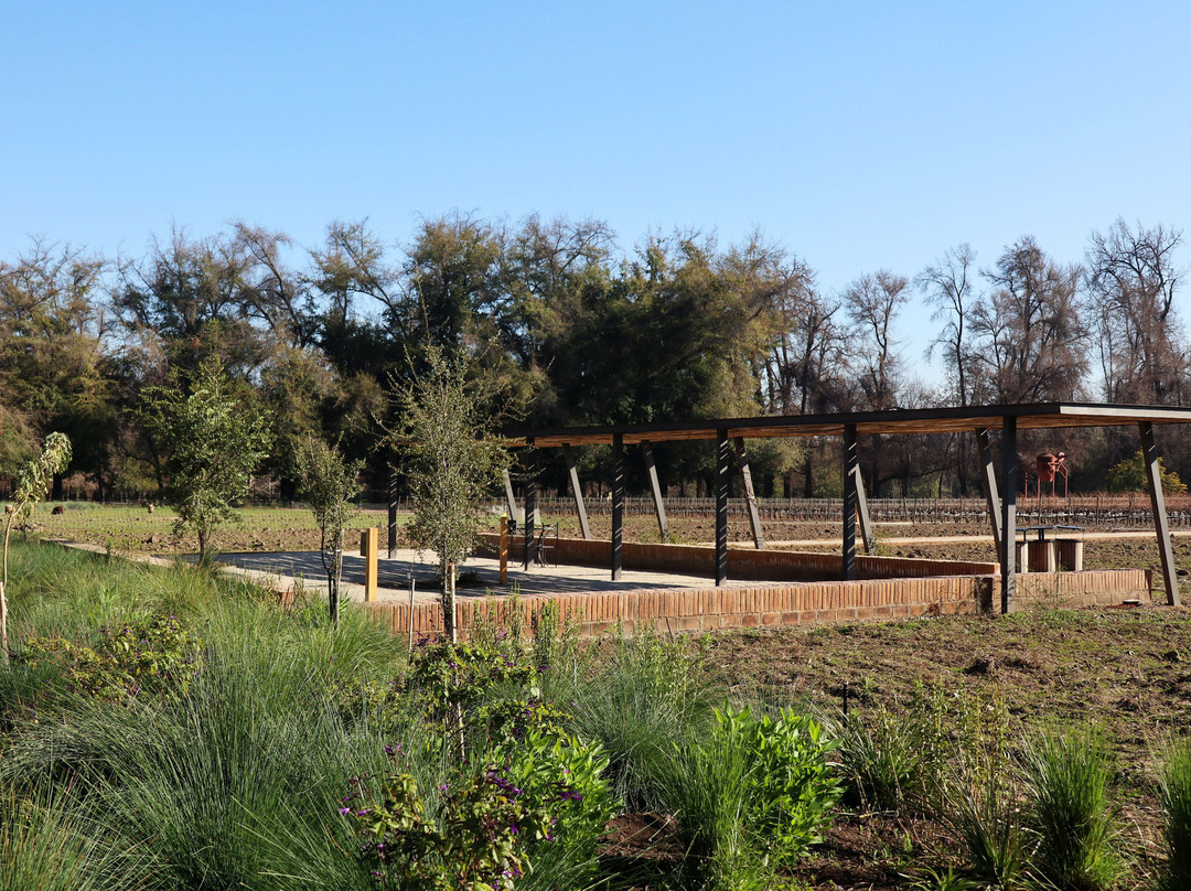 Jardín de Macul景点图片