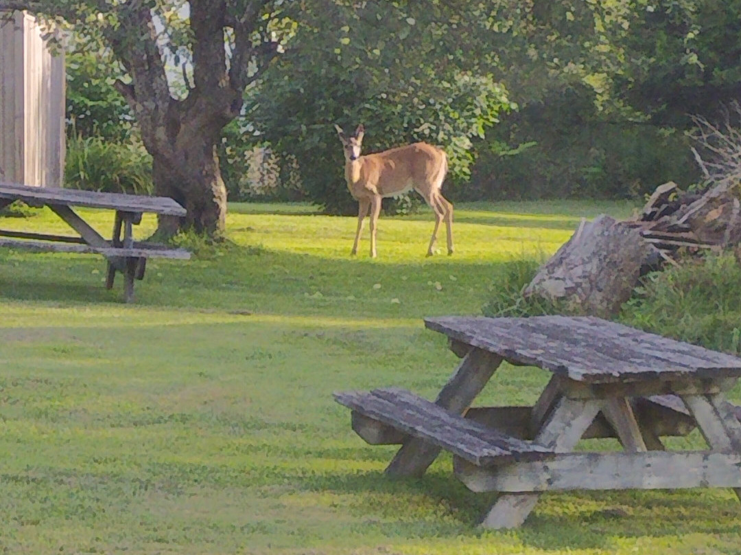 Minden House Cottages主图