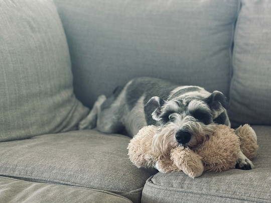 Aqua Dawg Kayak Company-泰碧岛必去景点