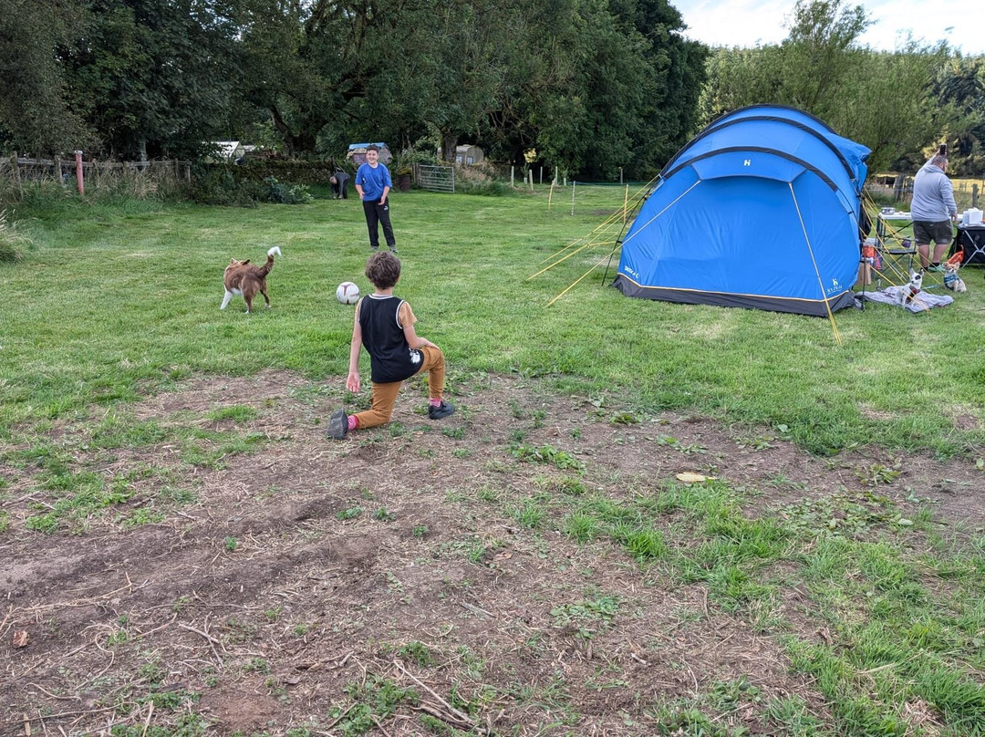 South Moor Farm主图