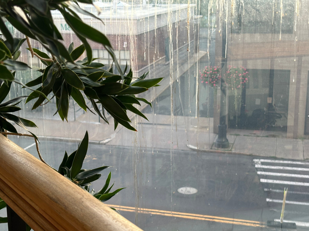 Hotel Northampton主图