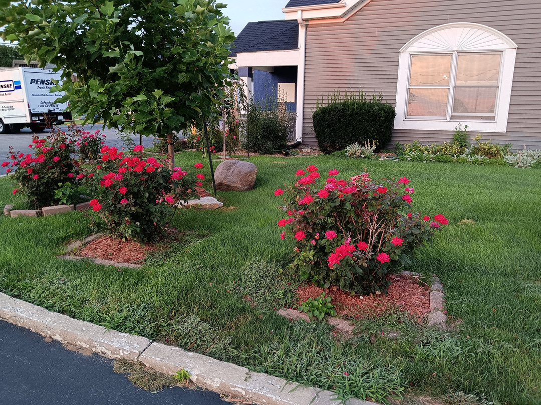 Travelodge by Wyndham Iowa City主图