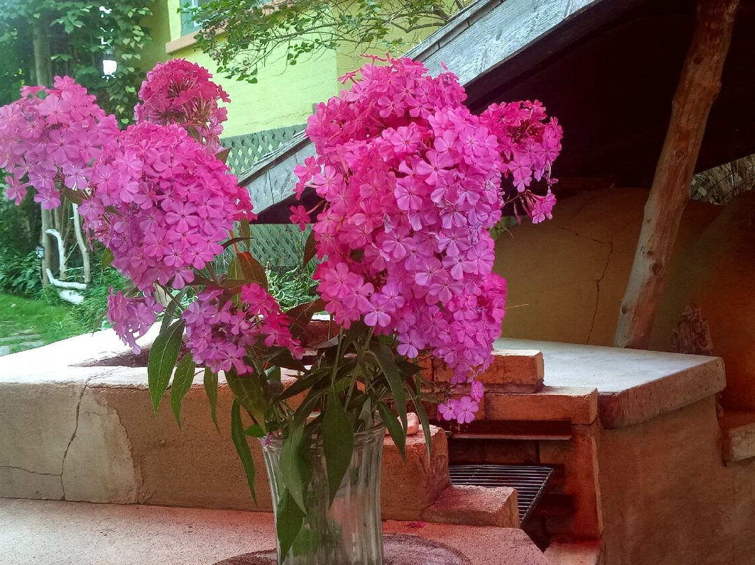 Maja's Garden Bistro景点图片
