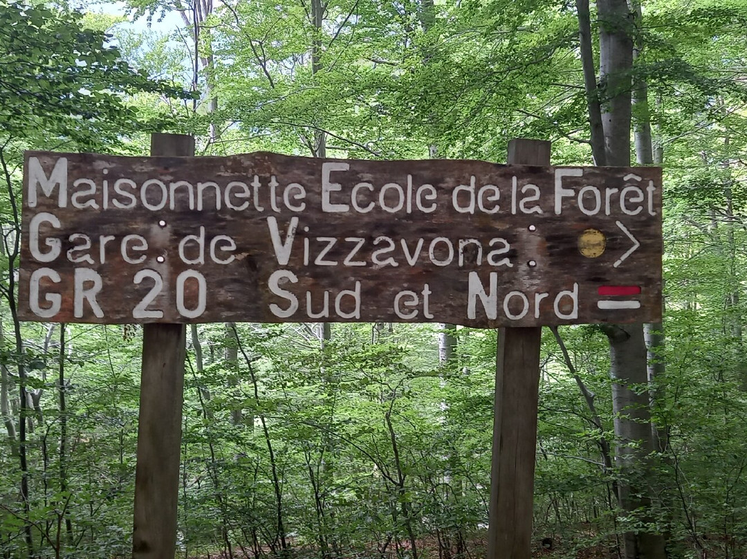 Corsica Natura景点图片