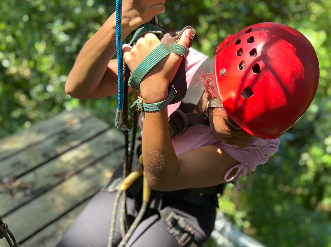 Bastimentos Sky Zipline景点图片