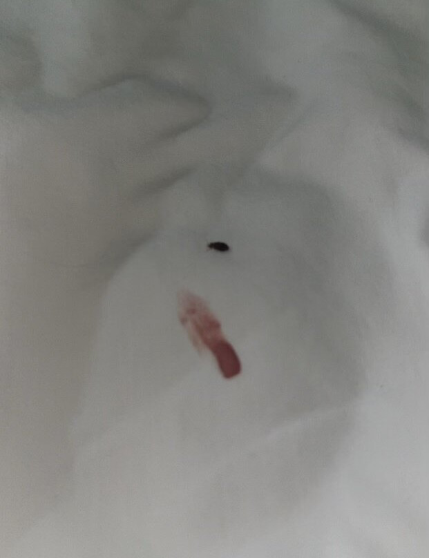 Super 8 by Wyndham Owensboro主图