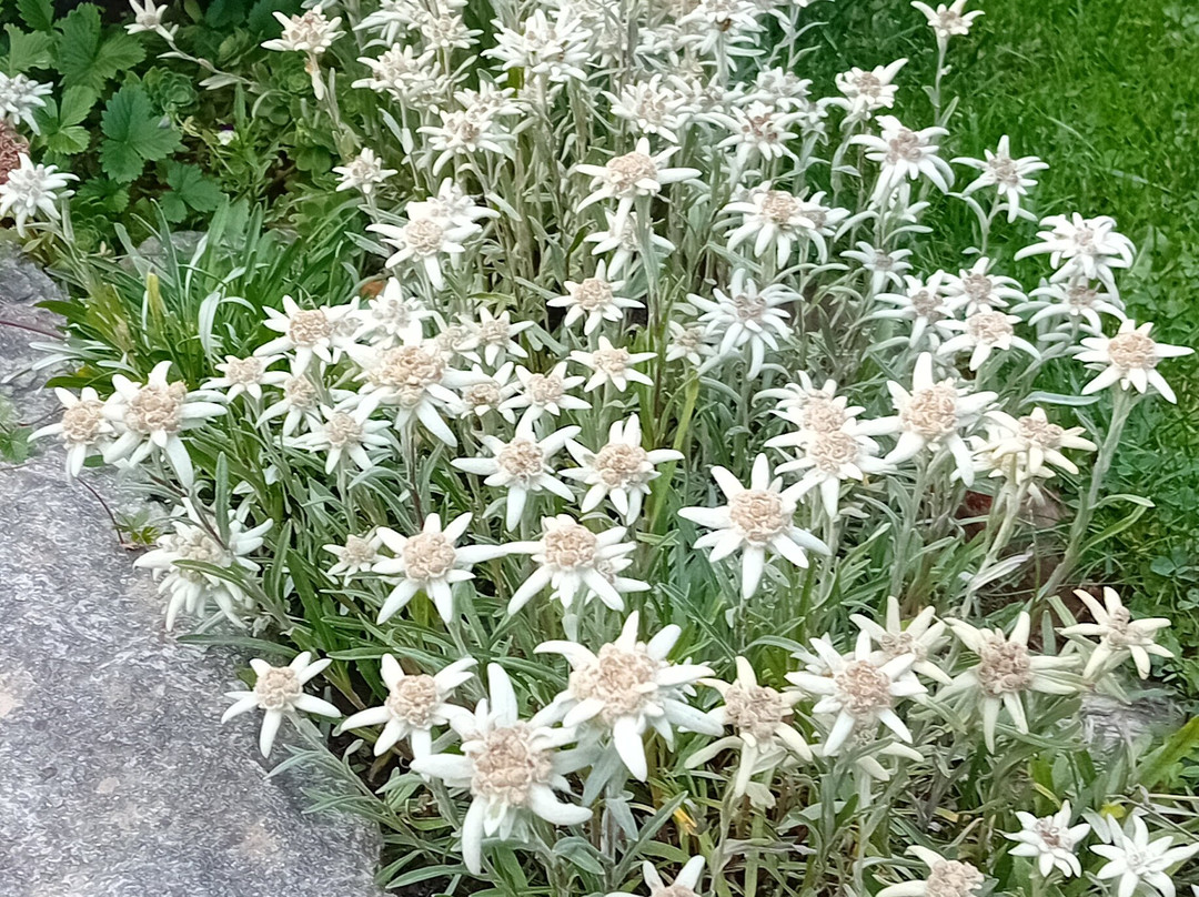 Valnontey景点图片
