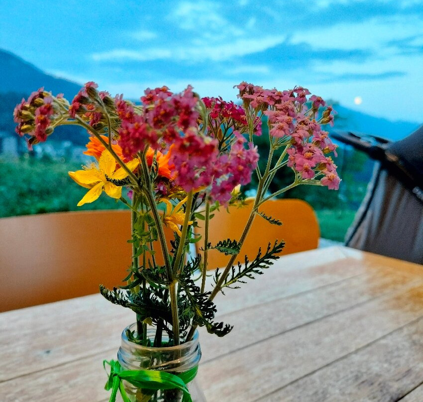 Azienda Agricola & Agriturismo Il Ritorno景点图片