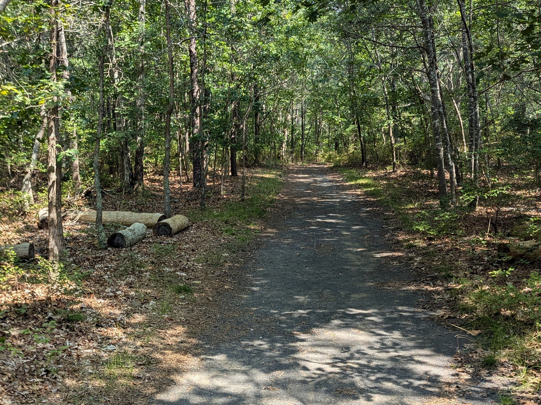 Wertheim National Wildlife Refuge-Shirley必去景点