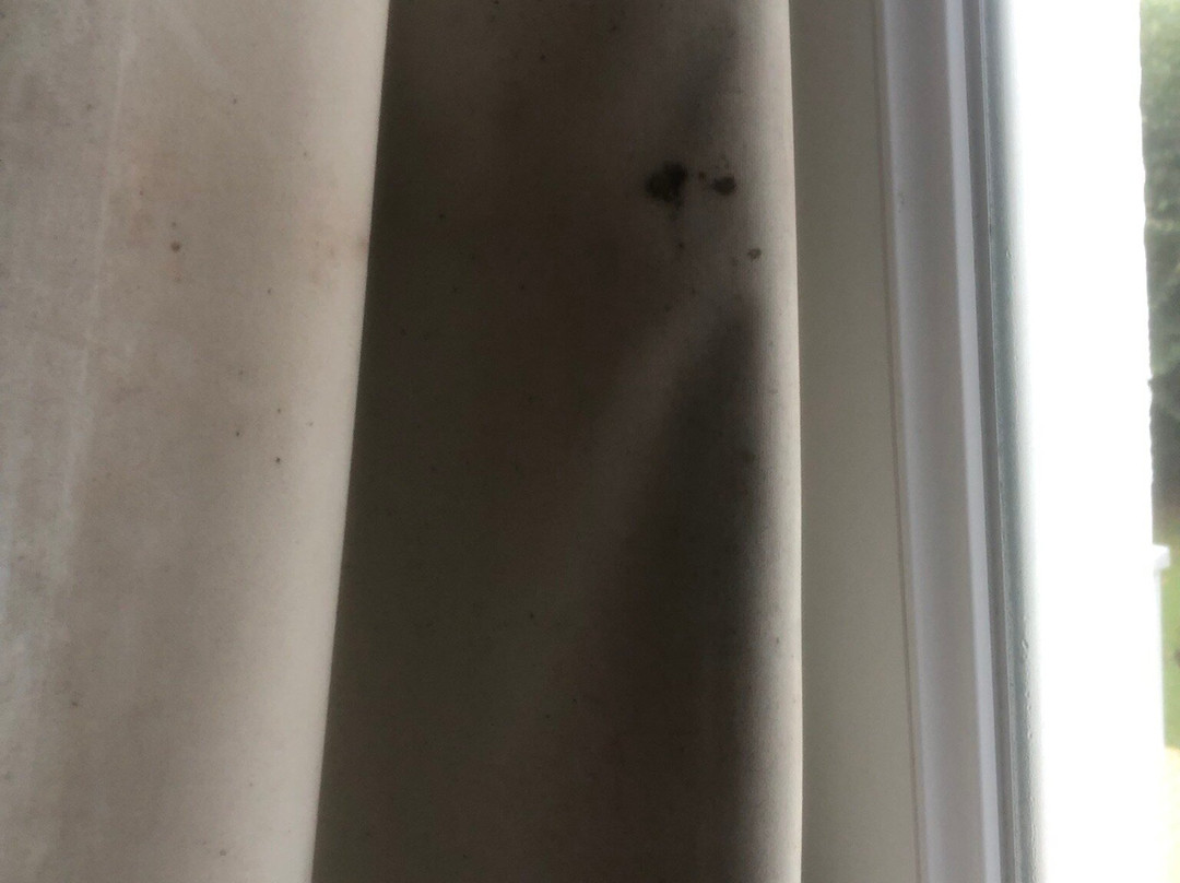 Hôtel du Pont Ascain主图