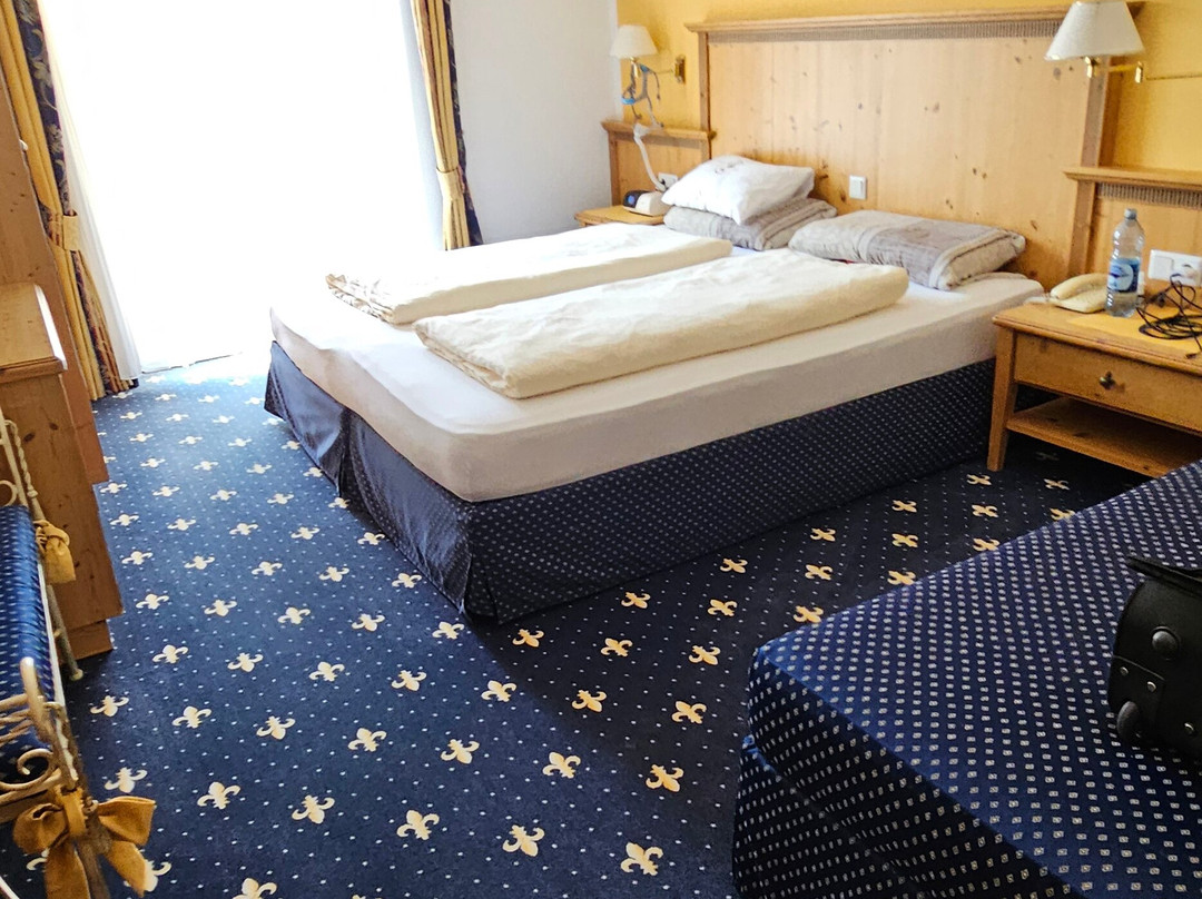 Hotel Aktiv Zur Rose主图