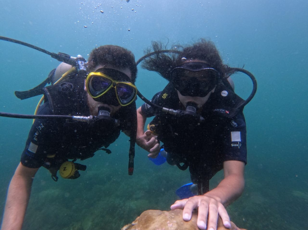 Angel Diving-Trincomalee必去景点