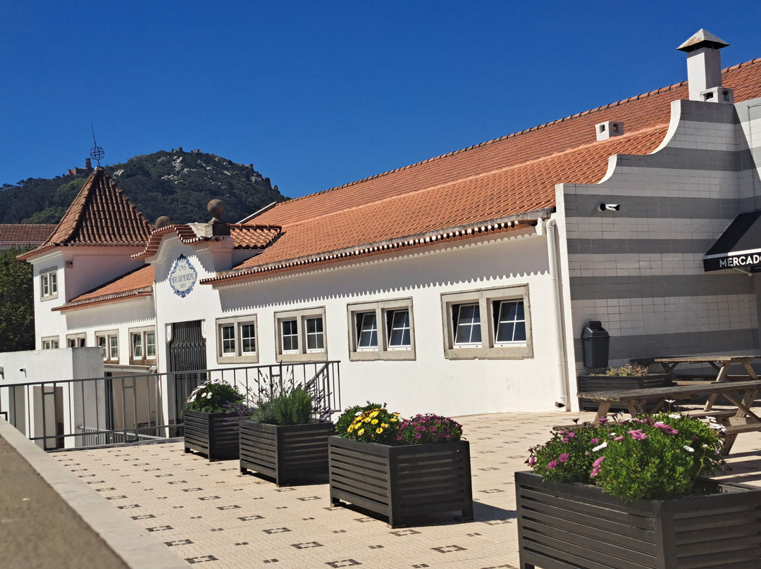 Centro Histórico de Sintra景点图片