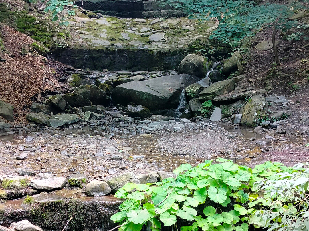 Cascata Di Vidiciatico景点图片