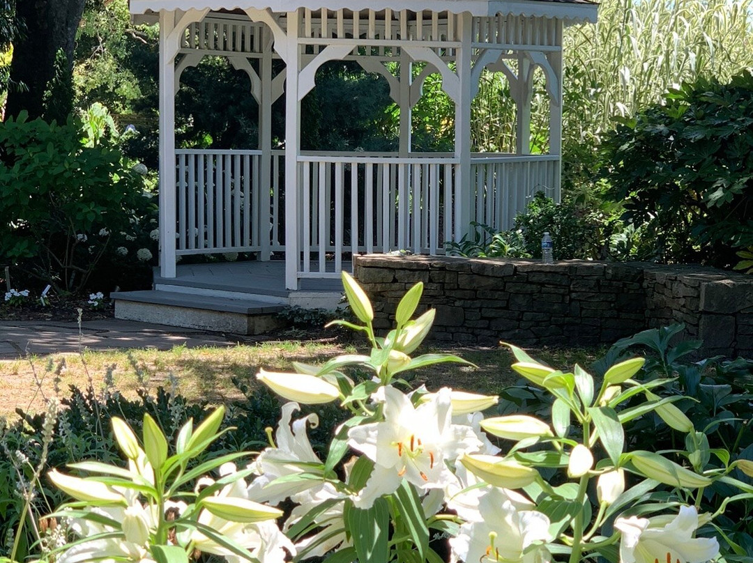 JC Raulston Arboretum at NC State University景点图片