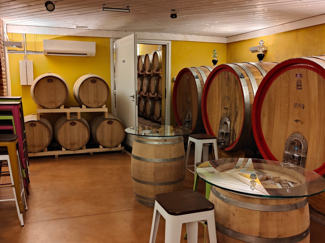 Azienda Agricola Cantina Spada景点图片