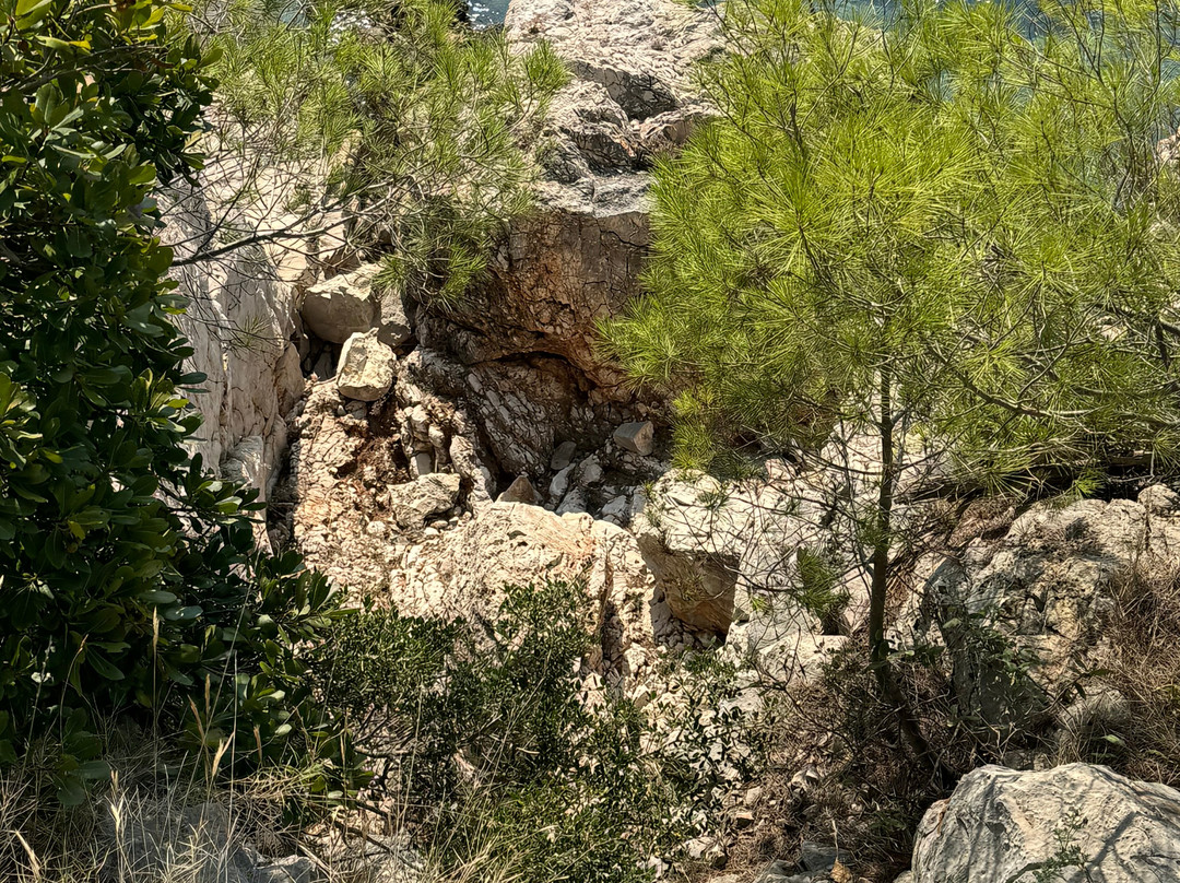 Otok Osjak景点图片