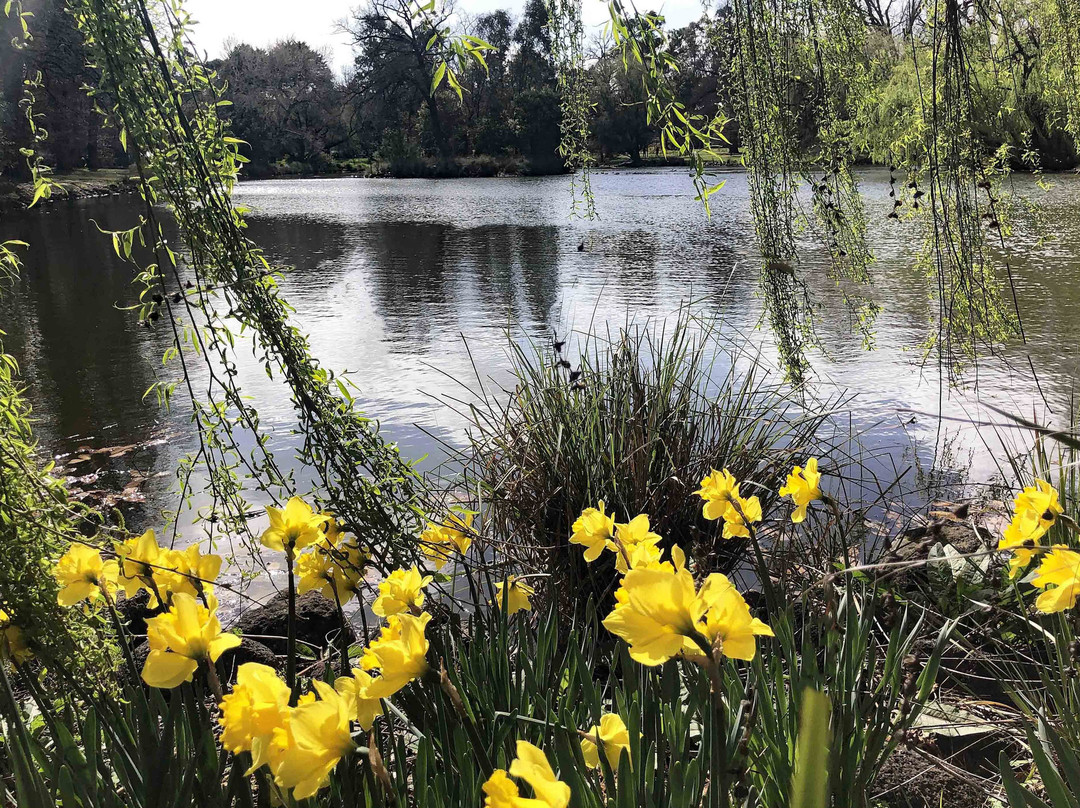 Lake Joanna, Castlemaine-Castlemaine必去景点