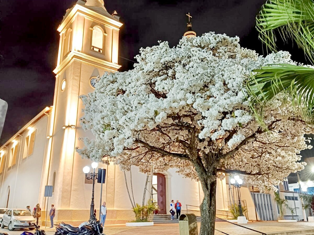 Catedral de Sant’Ana-Itapeva必去景点