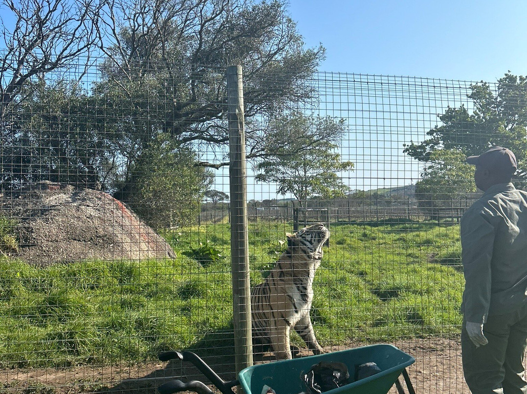 Vredenheim-斯泰伦博斯必去景点