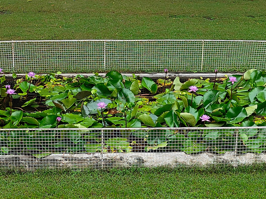 卡久拉霍查德拉泰姬陵酒店主图